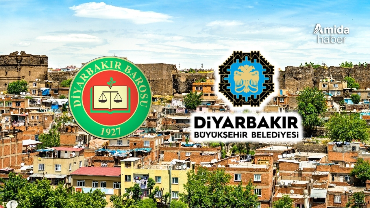 Diyarbakır Barosu ile Büyükşehir anlaştı: 733 kadın başvurdu