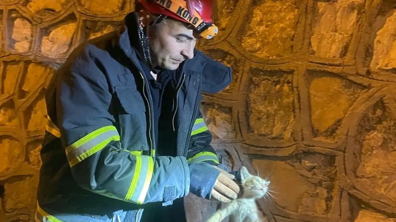Hatay'da kahraman itfaiyeciler yavru kediyi kurtardı