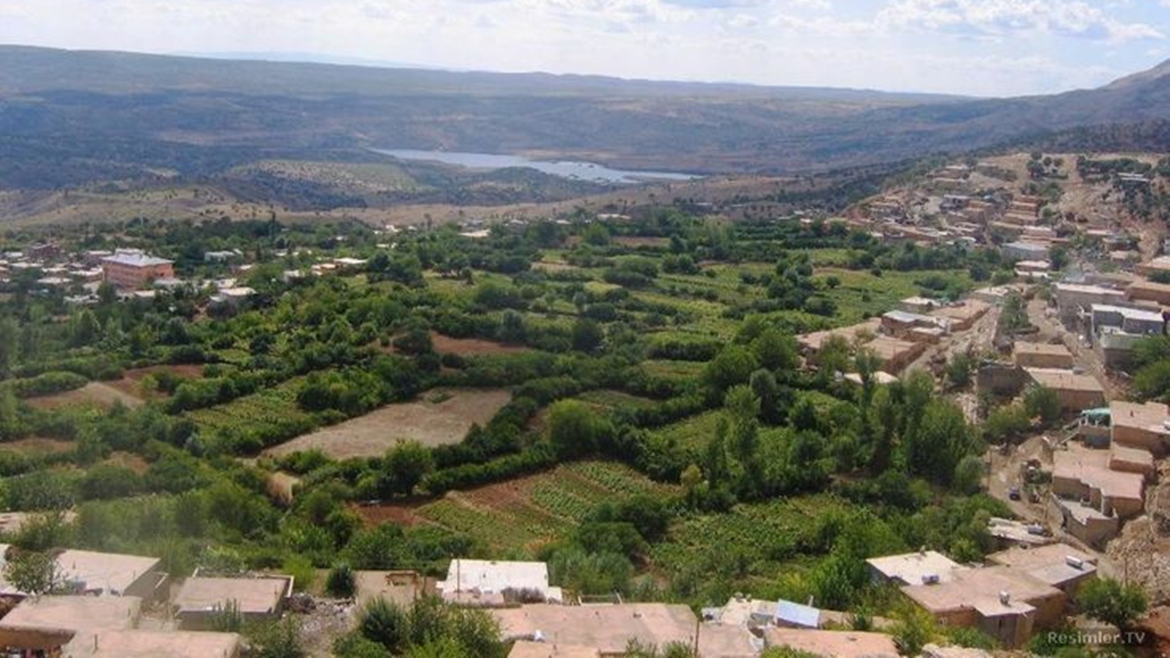 Diyarbakır’da 14 yaşındaki kız kardeş katili tutuklandı