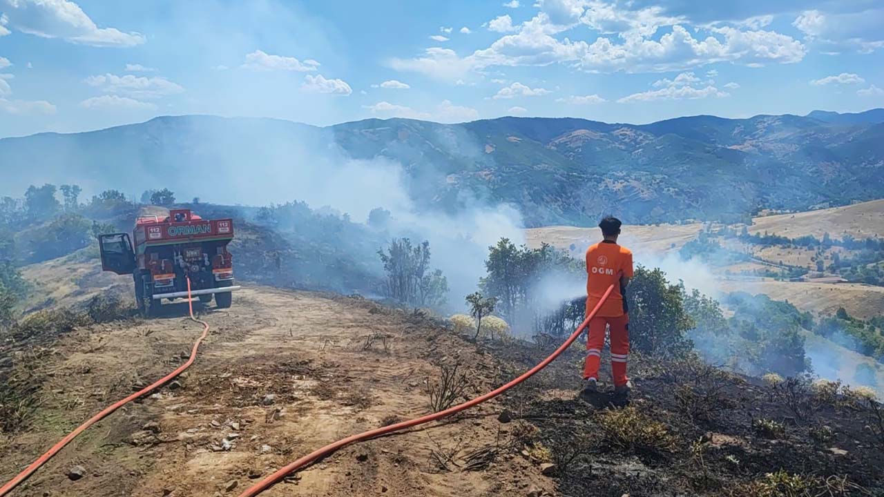Bingöl Valiliğinden orman yangınlarına karşı uyarı