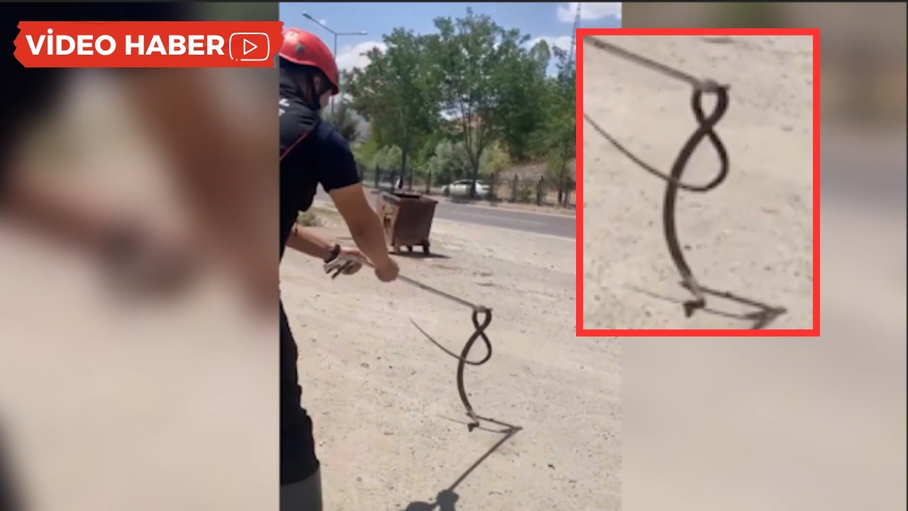 Dev yılan bu kez işyerine girdi