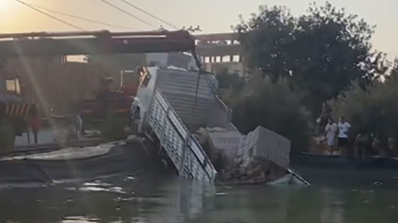 Freni patlayan kamyon sulama havuzuna düştü