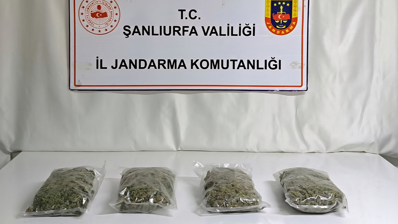 Şanlıurfa’da uyuşturucu operasyonu