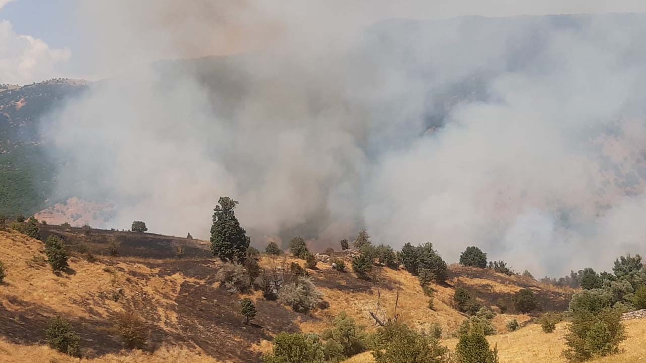 Tunceli’de yangın: Soğutma çalışmaları sürüyor