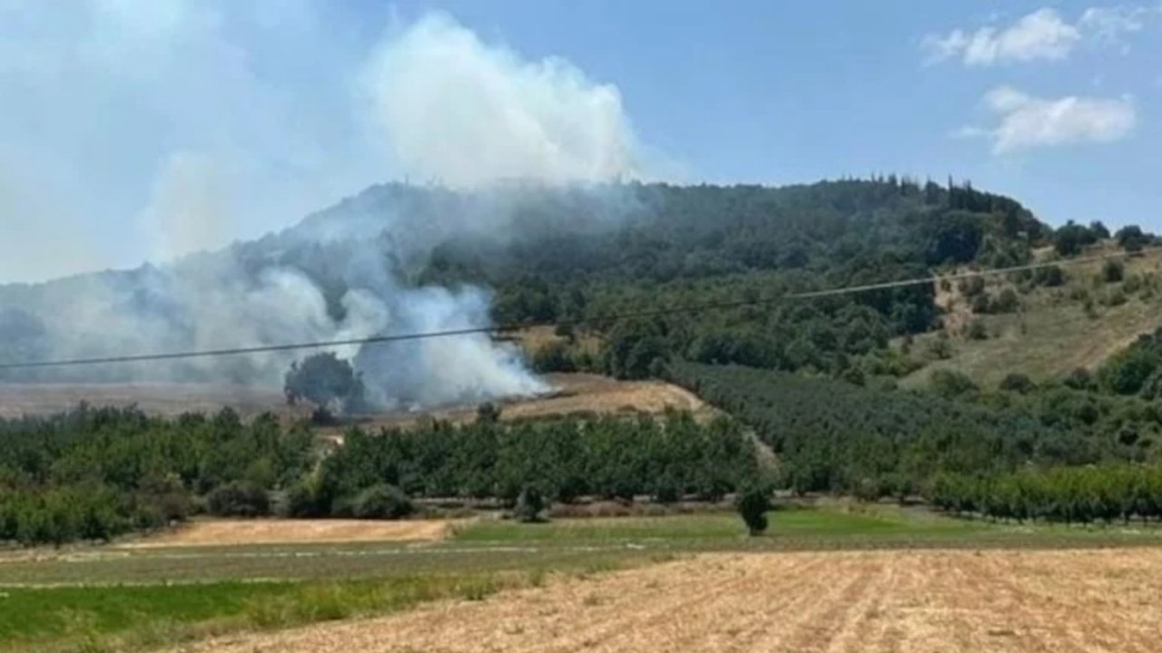 Bingöl’de korkutan yangın: Söndürüldü