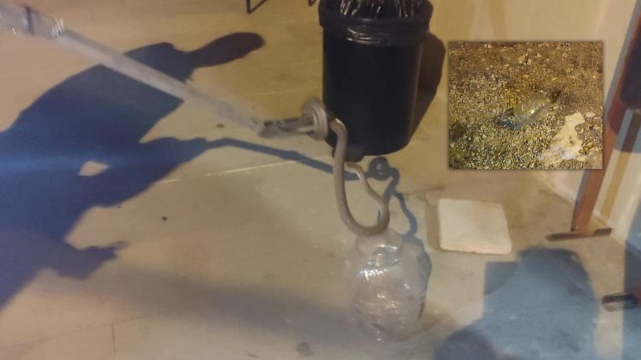 Kız yurdunda bulunan engerek doğaya bırakıldı
