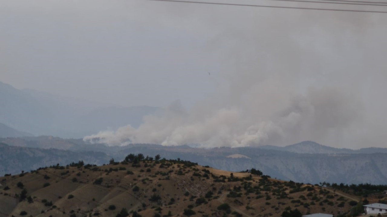 Kahramanmaraş’ta orman yangını