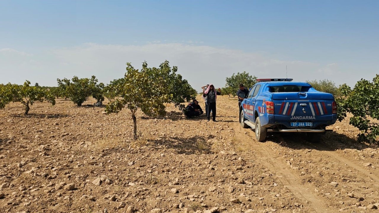 Fıstık tarlasında ölüm: Antep fıstığı hasadı yapan işçi fenalaştı