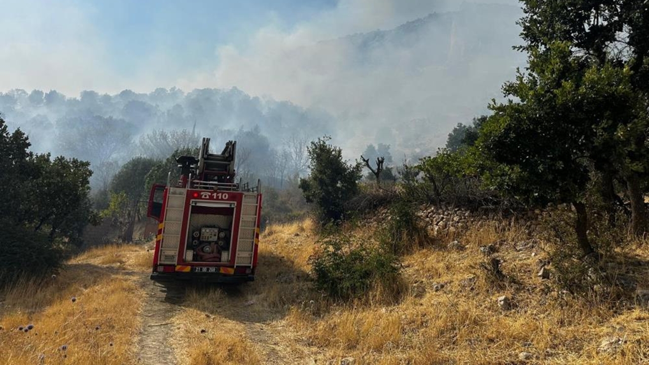 Yangınlar yayılıyor: Diyarbakır dahil 8 ilde yangın