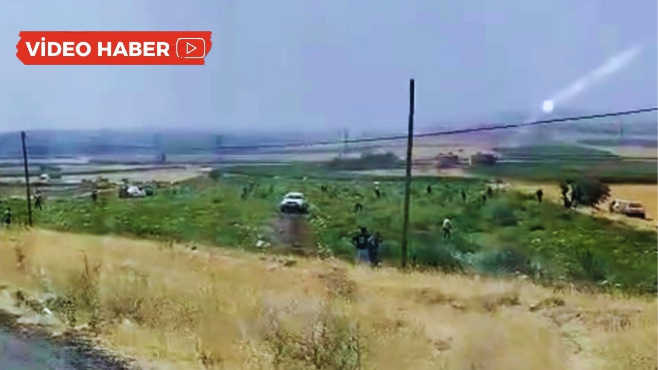 Mardin’de bedava sanıp talan ettiler: Çiftçi şokta