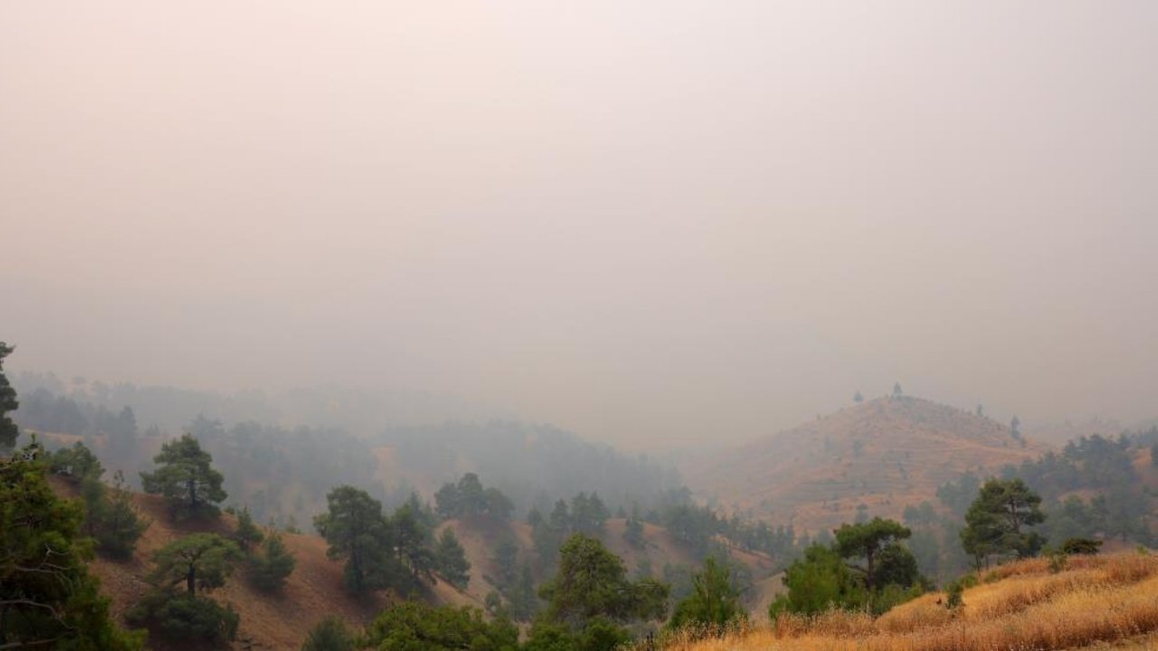 Maraş’ta orman yangını: Evler tahliye ediliyor