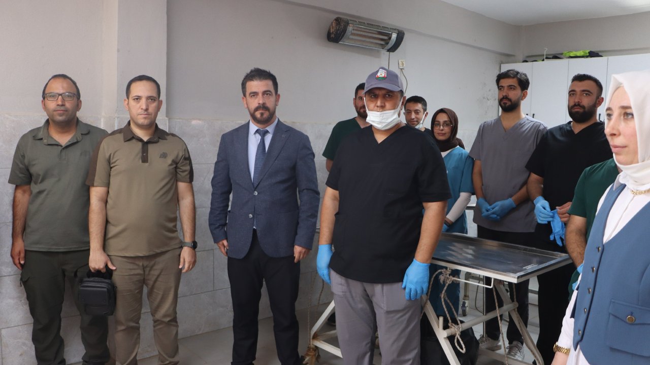 Şanlıurfa'dan sokak hayvanları için dev adım