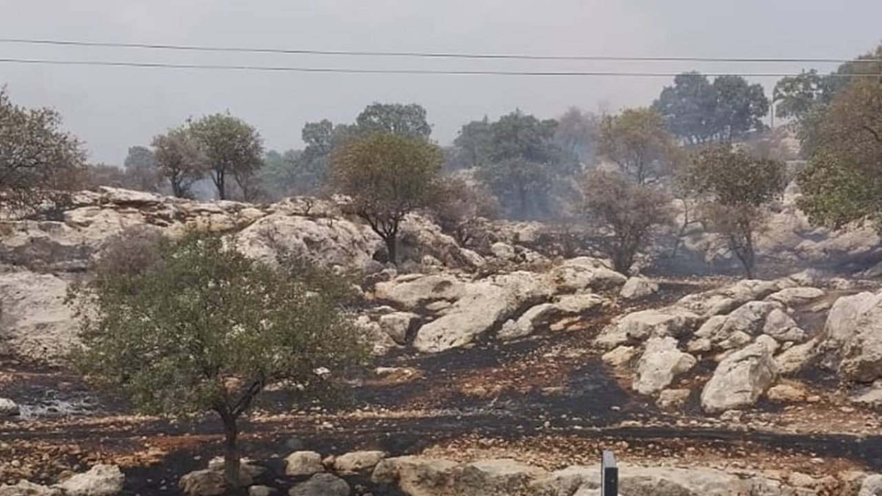 Mardin’de çıkan örtü yangını söndürüldü