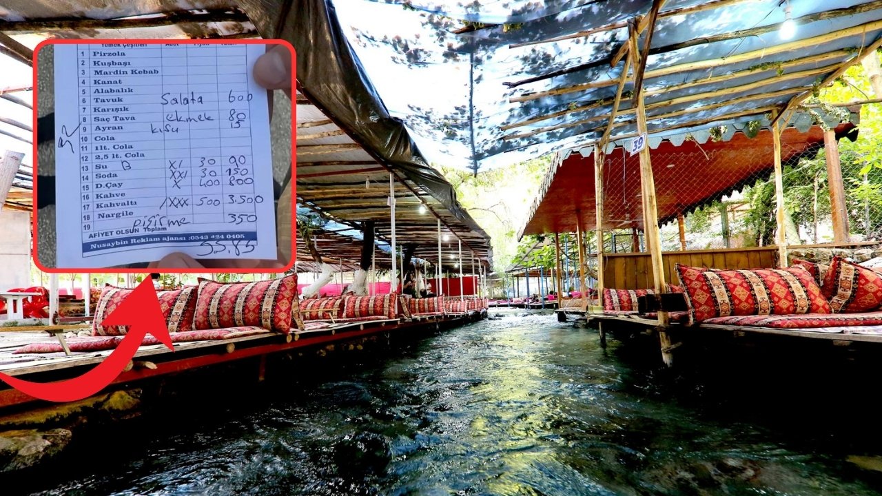 ‘Avaspi’ Bodrum ile yarışıyor: Giden pişman