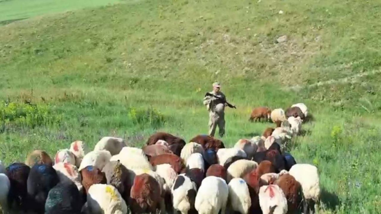 3 gündür kayıp olan 97 küçükbaş hayvan bulundu