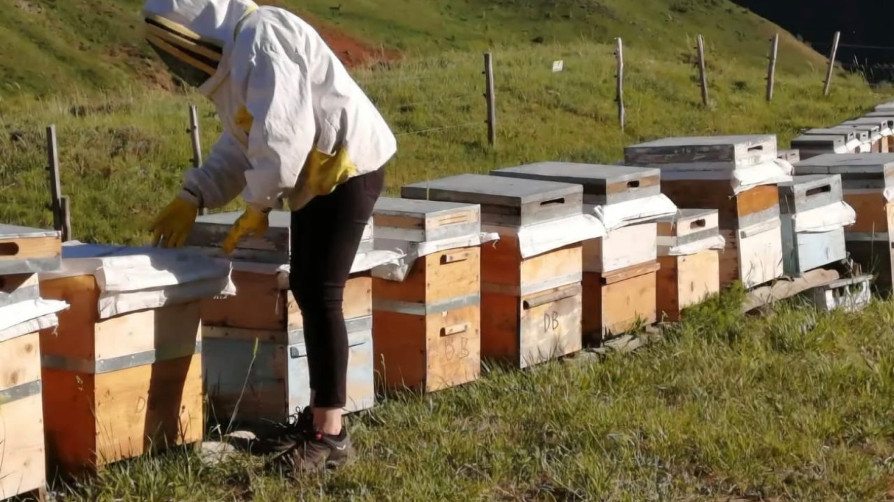 Tunceli Arıcı Yetiştiricileri Birliği bal alım fiyatlarını açıkladı
