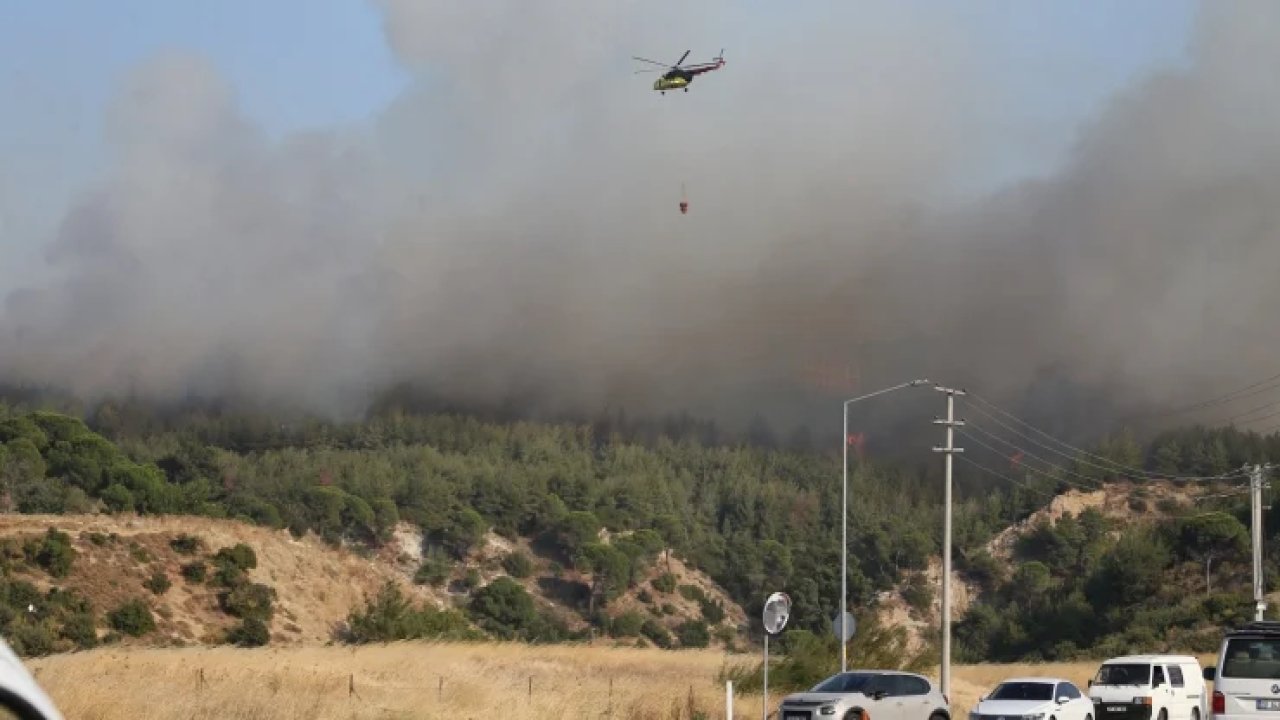 Çanakkale'de yangın: Dört kişi gözaltına alındı