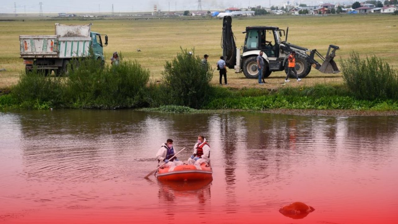 Ardahan: Nehre düşen inek öldü