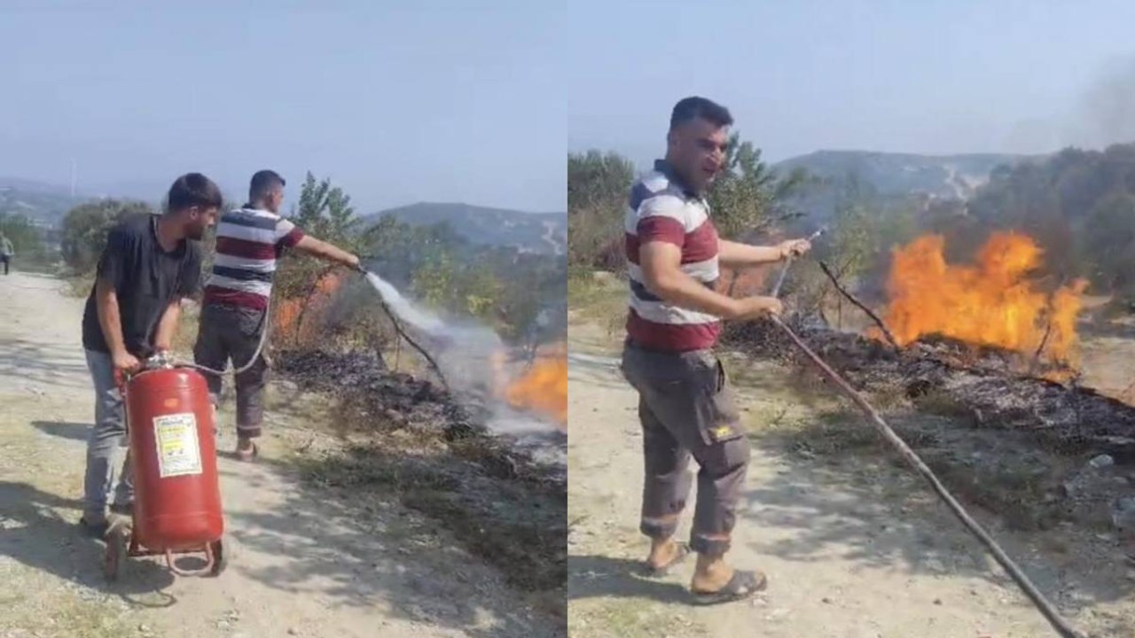 Hatay’da elektrik telleri yangına neden oldu