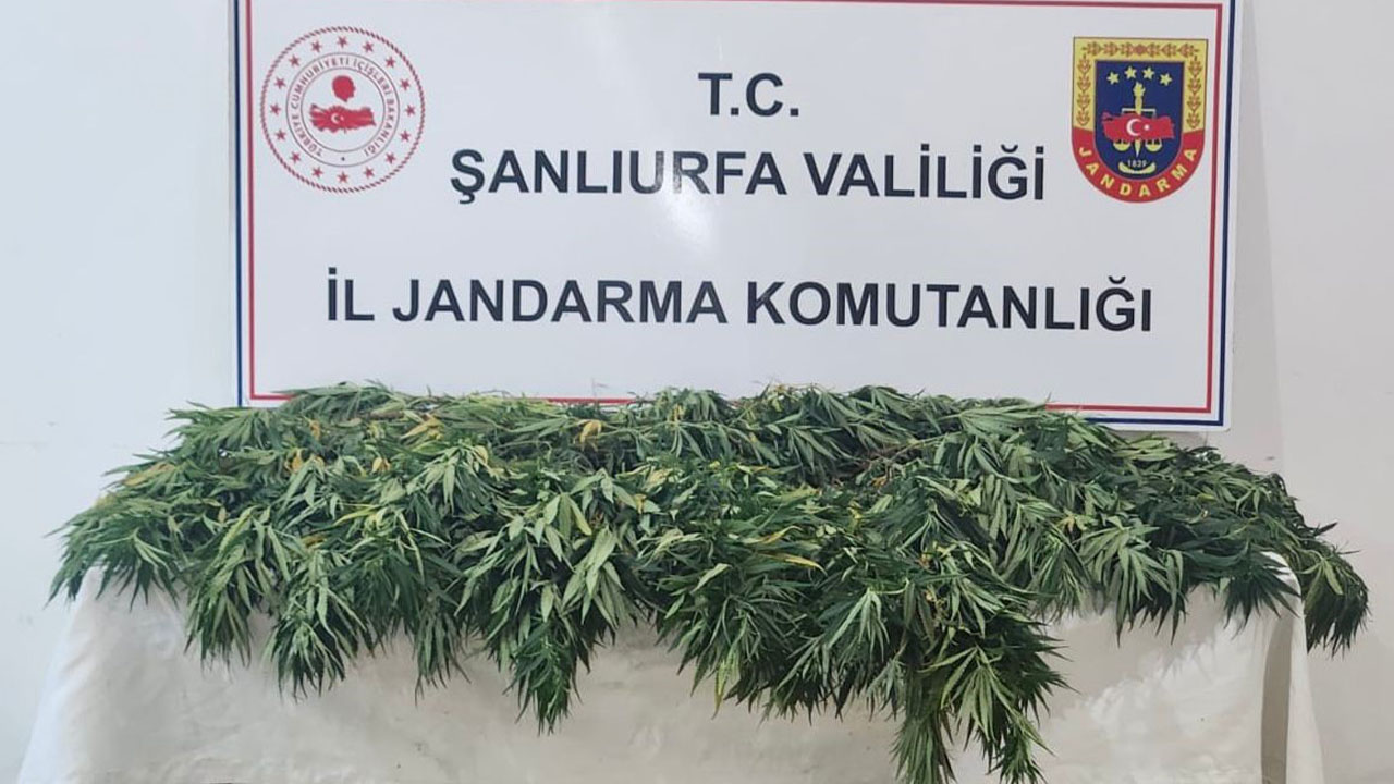 Şanlıurfa’da uyuşturucu operasyonunda 2 kişi gözaltına alındı