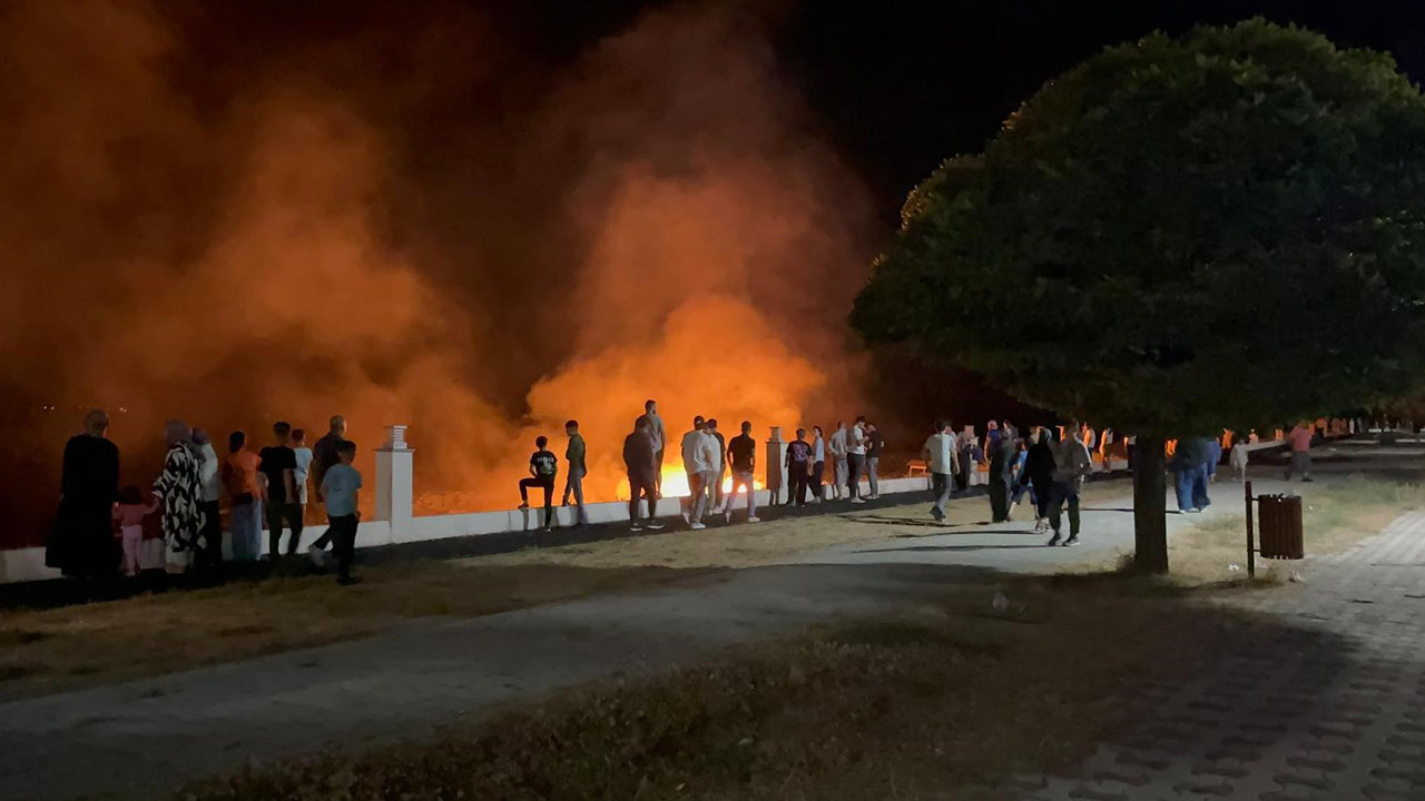 Van’da anız yangını