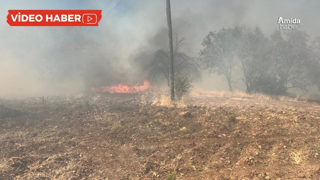 Diyarbakır'da orman yangını: Yerleşim yerine doğru ilerliyor