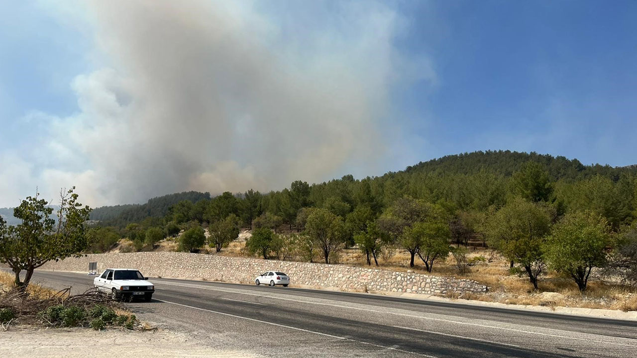 Adıyaman'da orman yangını: Ekipler müdahale ediyor