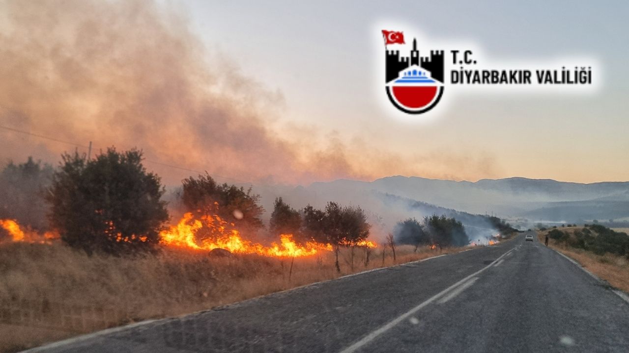 Diyarbakır Valiliği’nden Lice açıklaması