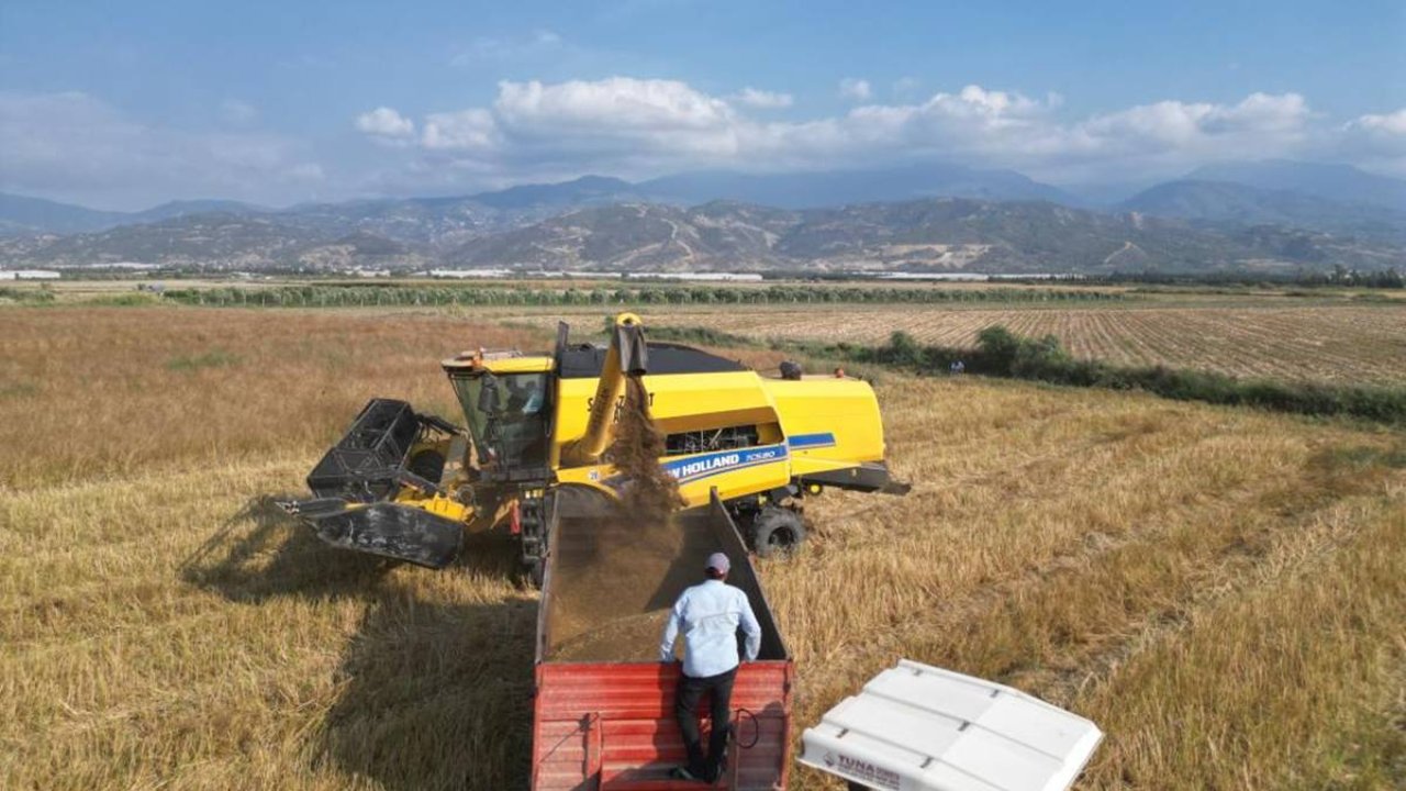 Deprem bölgesinde ata tohumu üretimi başladı