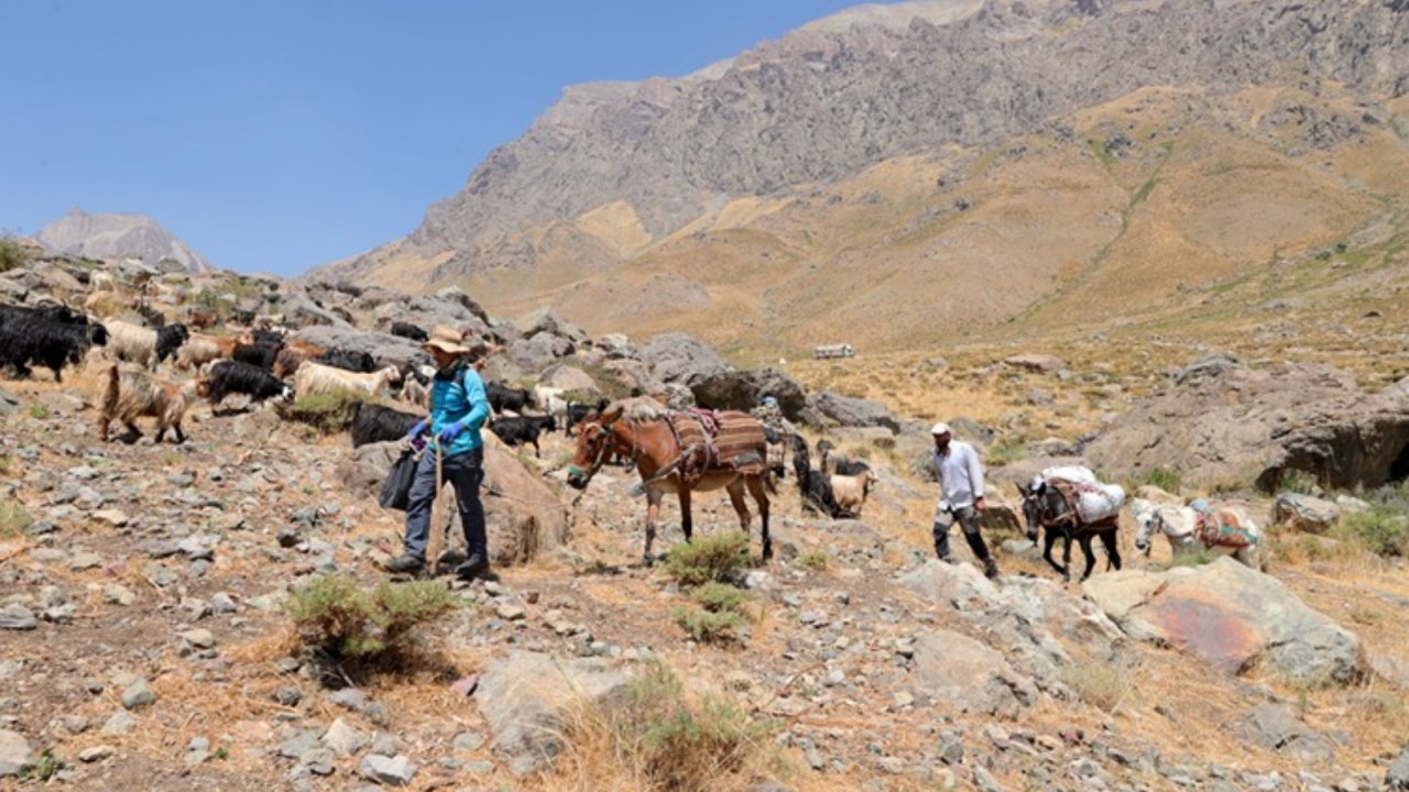 Hakkari: Dağcıların yükleri katırların sırtında