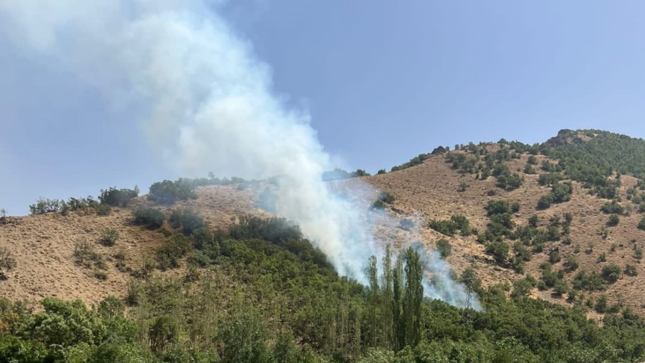 Hakkari’de orman yangını