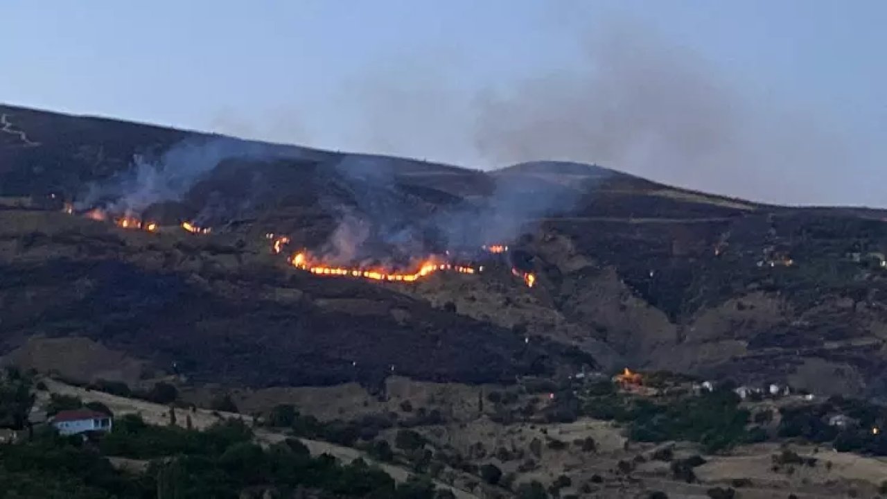 Malatya'daki orman yangını kontrol altına alındı
