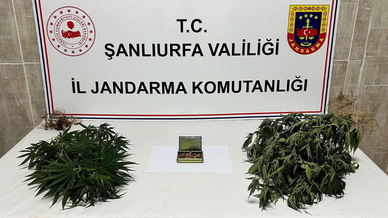 Şanlıurfa'da uyuşturucu operasyonu