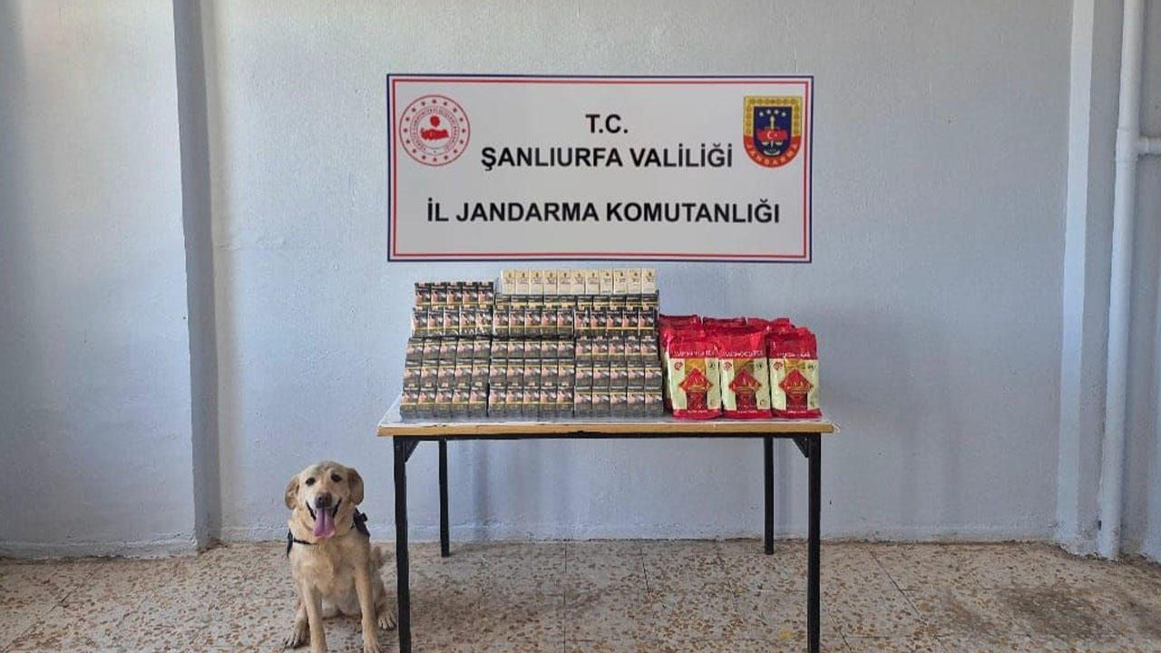 Şanlıurfa'da kaçakçılık operasyonu