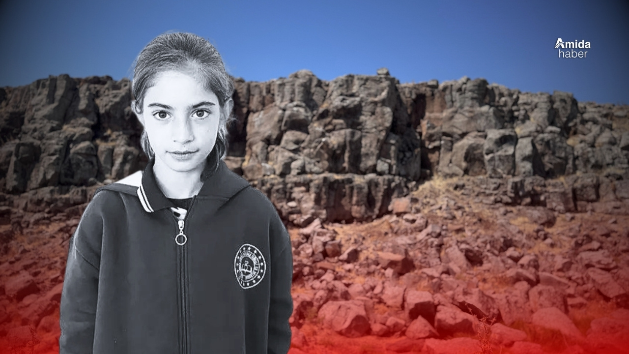 Mardin bu olayı konuşuyor: Düştü mü düşürüldü mü?