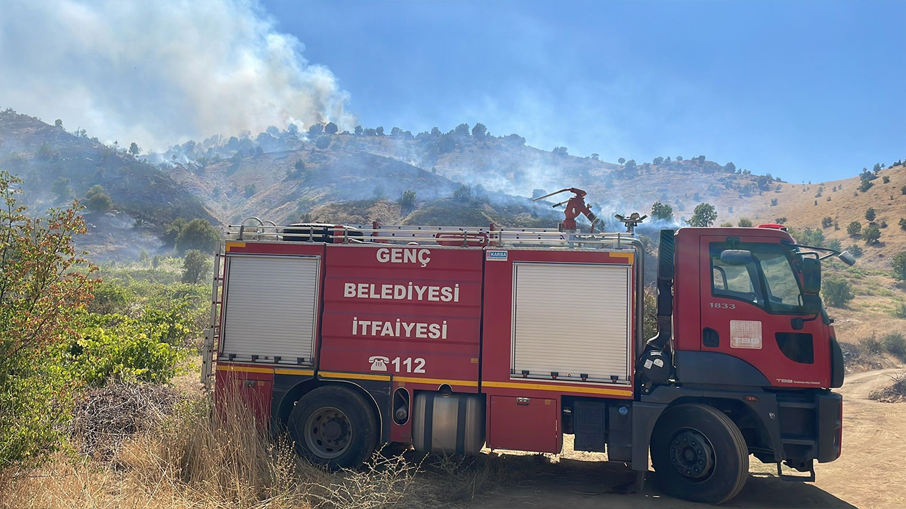 Bingöl'de orman yangını: Müdahale sürüyor