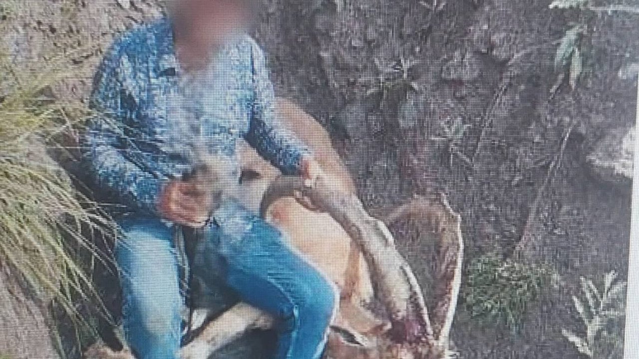 Yasadışı avcıya Kars'ta büyük şok: 658 bin TL para cezası kesildi