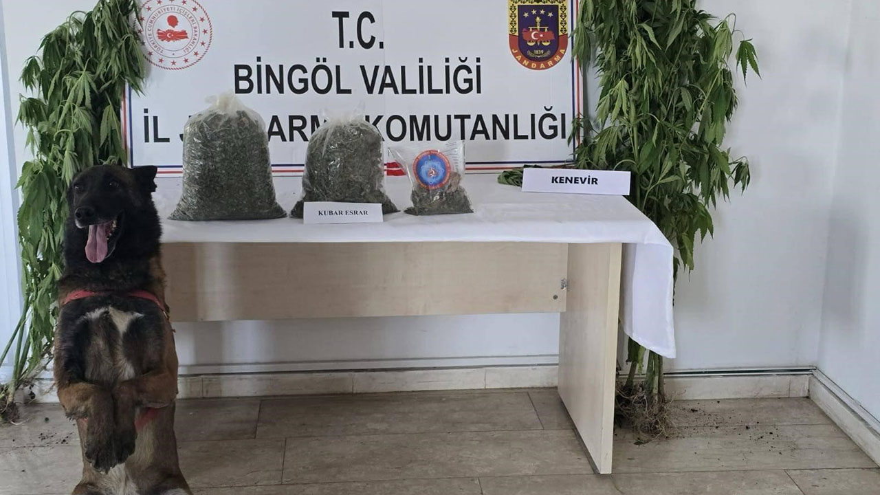 Bingöl’de uyuşturucu operasyonu