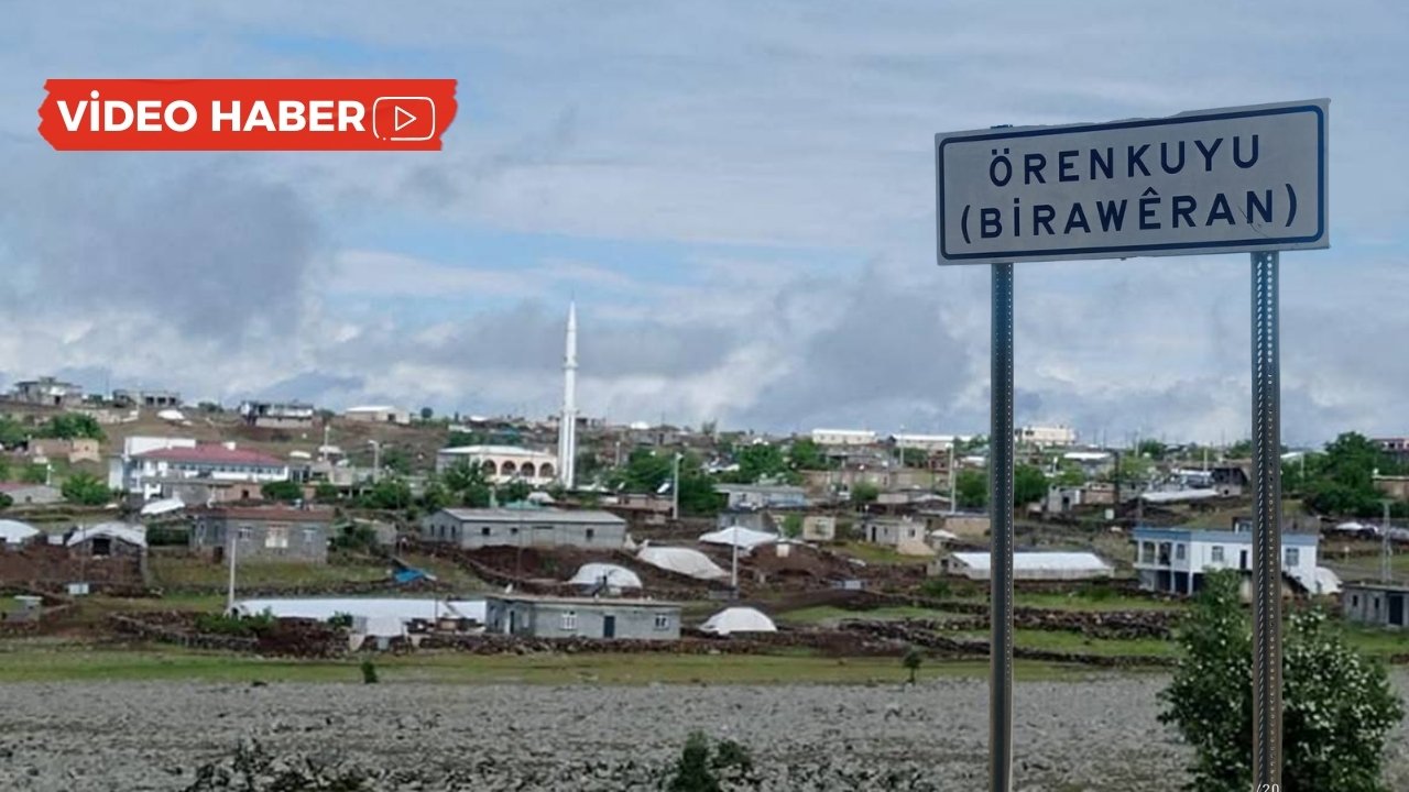 Diyarbakır’da sürü halinde köpekler: Köylülerden çağrı
