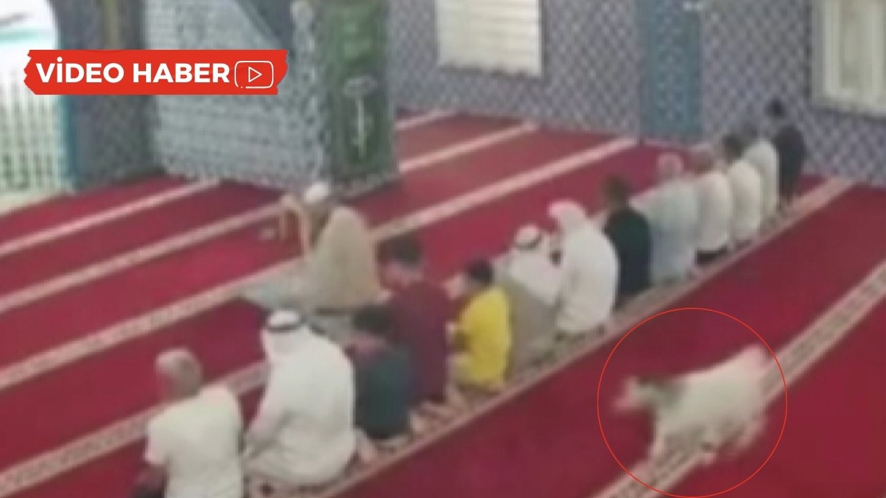 Camiye giren oğlak şaşkınlık yarattı