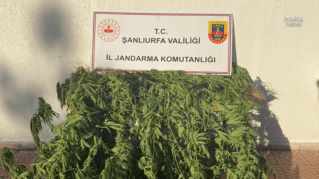 Şanlıurfa’da uyuşturucu operasyonu