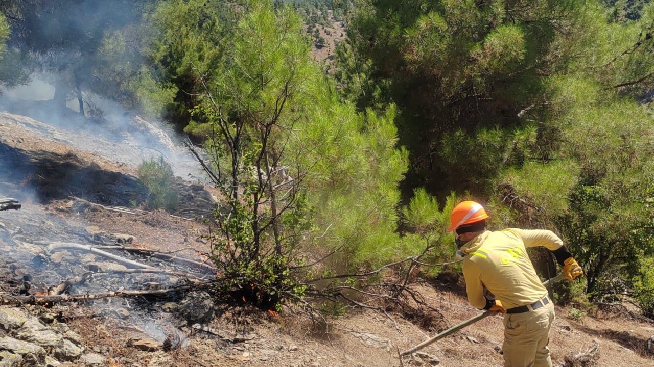 Orman yangını Adana'da korku dolu anlar yaşattı