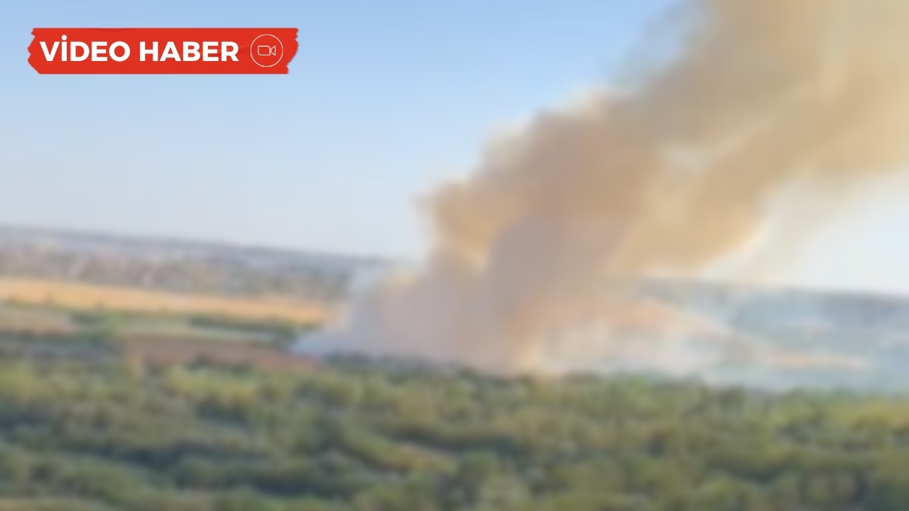 Diyarbakır Hevsel’de korkutan anız yangını