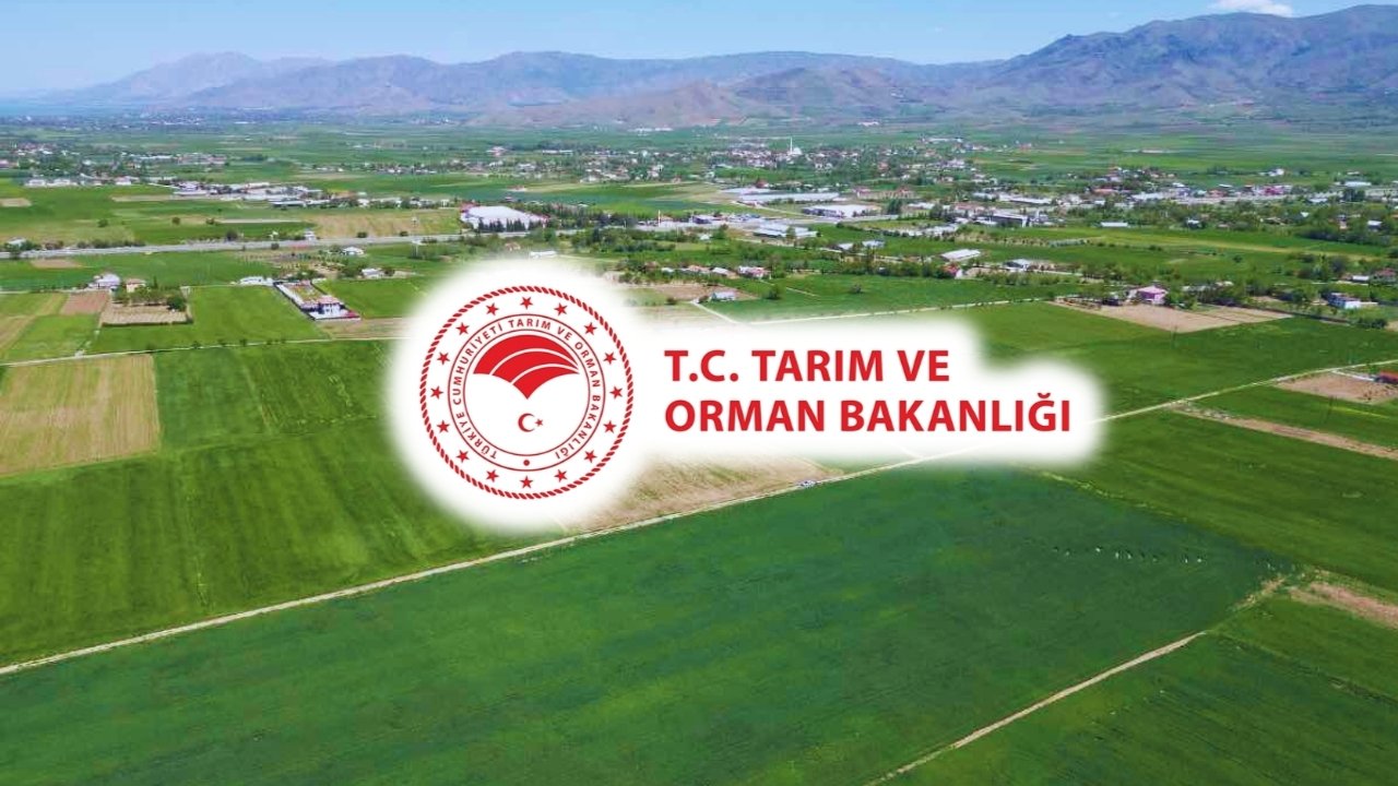 Diyarbakır’daki boş tarım arazileri kiraya verilecek