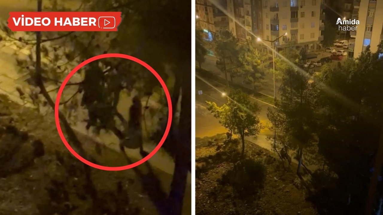 Diyarbakır'da iki grup çatıştı: Yoldan geçen kişi hayatını kaybetti
