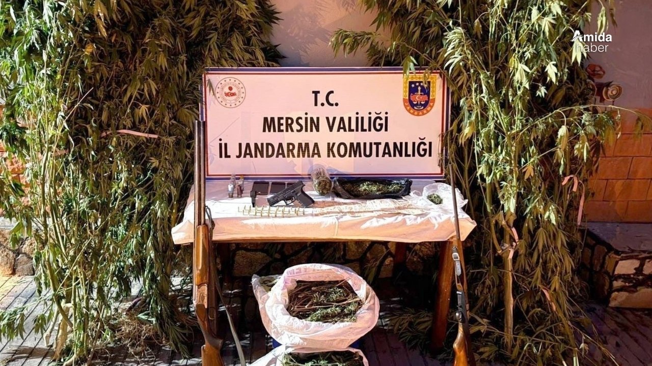 Mersin'de bahçelerine kenevir eken 3 şahıs yakalandı