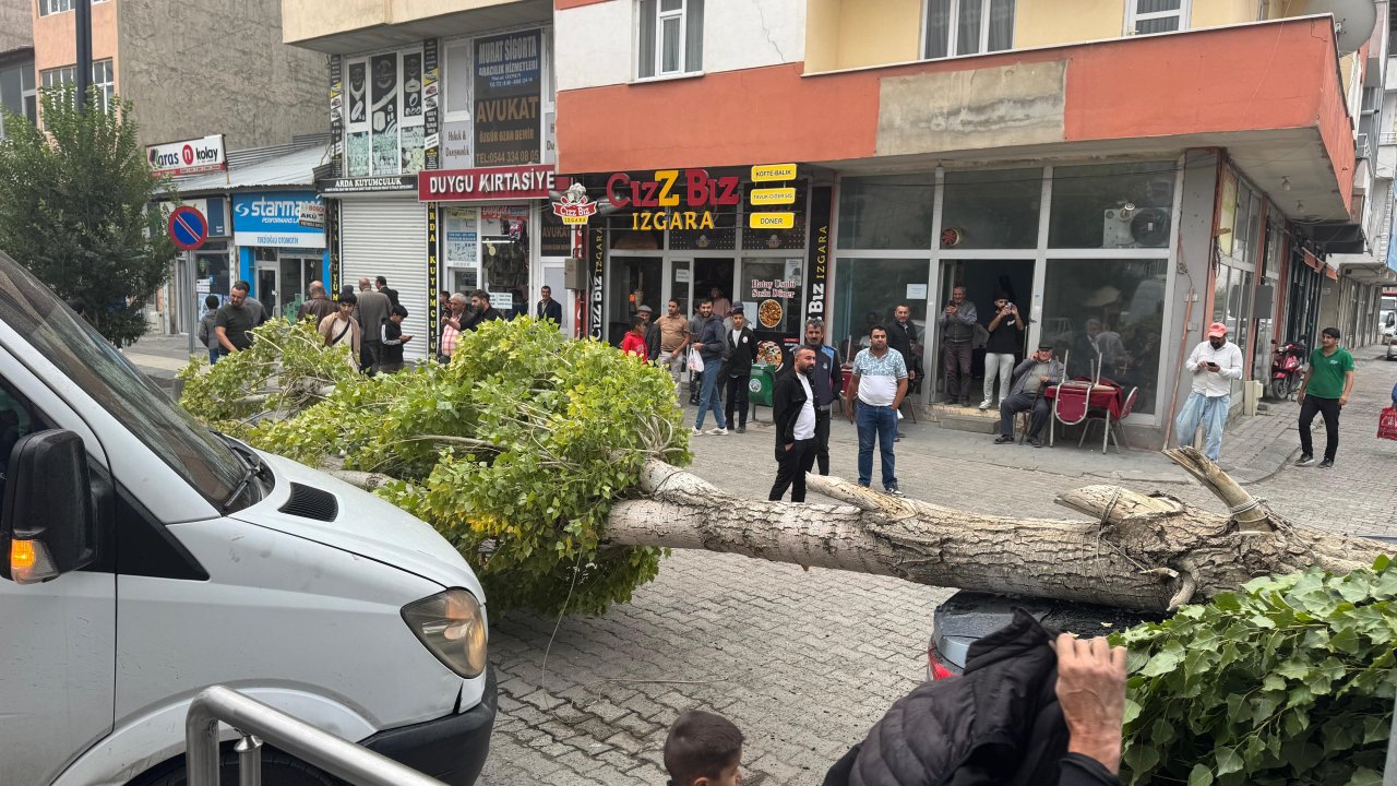 Ağrı'da panik anları: Rüzgar ağacı otomobilin üzerine devirdi