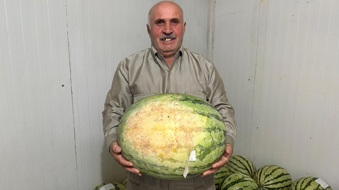 Diyarbakır karpuzları korumaya alındı