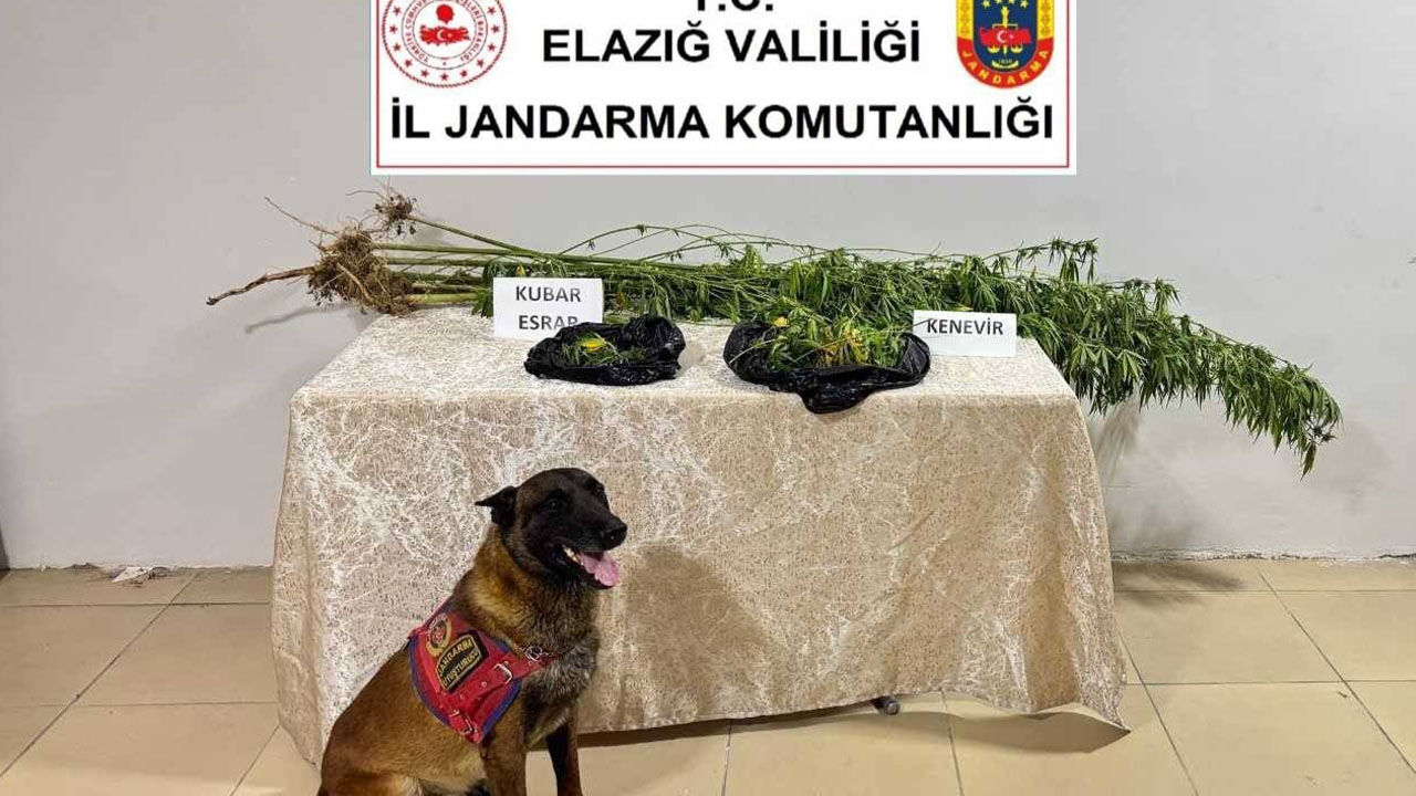 Elazığ’da uyuşturucuyla mücadele: 1 tutuklama