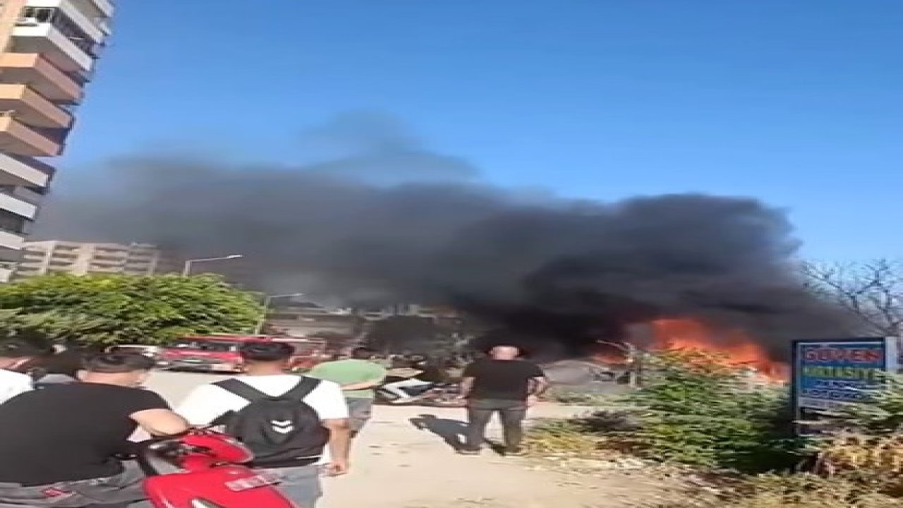 Adana'da ağaçlık alanda yangın
